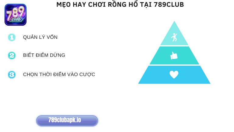Áp dụng mẹo hay sẽ giúp anh em tối ưu chiến thắng khi chơi Rồng Hổ
