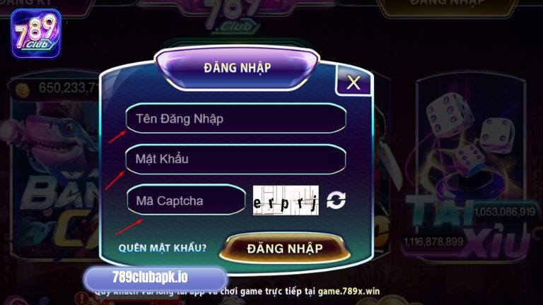 Điền đầy đủ và đảm bảo chính xác thông tin đăng nhập